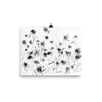 Edelweiss